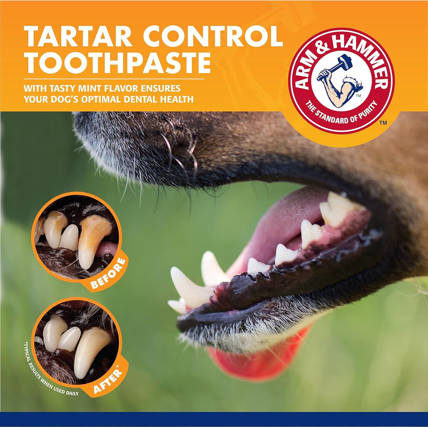 Arm & Hammer for Pets Dog Dental Care Fresh Breath Kit | Includes Arm & Hammer Baking Soda Dog Toothpaste and Dog Toothbrush | Dog Plaque Removal Kit, Mint