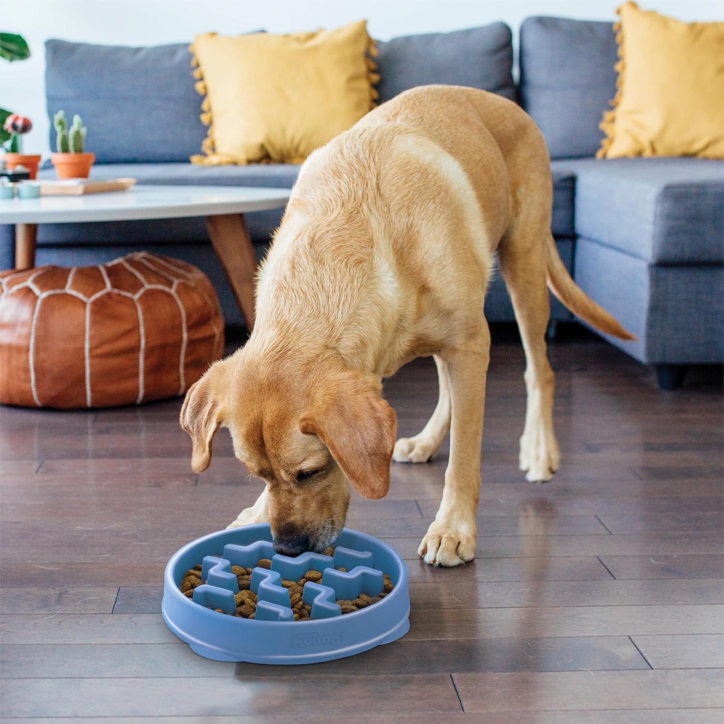 Outward Hound Large Slow Feeder Bowl, Puzzle Maze for Fast Eaters, Medium to Large Dogs, Helps Prevent Bloat & Aid Digestion, Holds 4 Cups Wet or Dry Food, Non-Slip, Made Without BPA, Blue