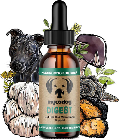 MycoDog Digest - Digestive Support Mushroom Supplement for Dogs - Holistic Gut Support - Adaptogens & Functional Mushrooms for Microbiome Balance, Probiotic Alternative
