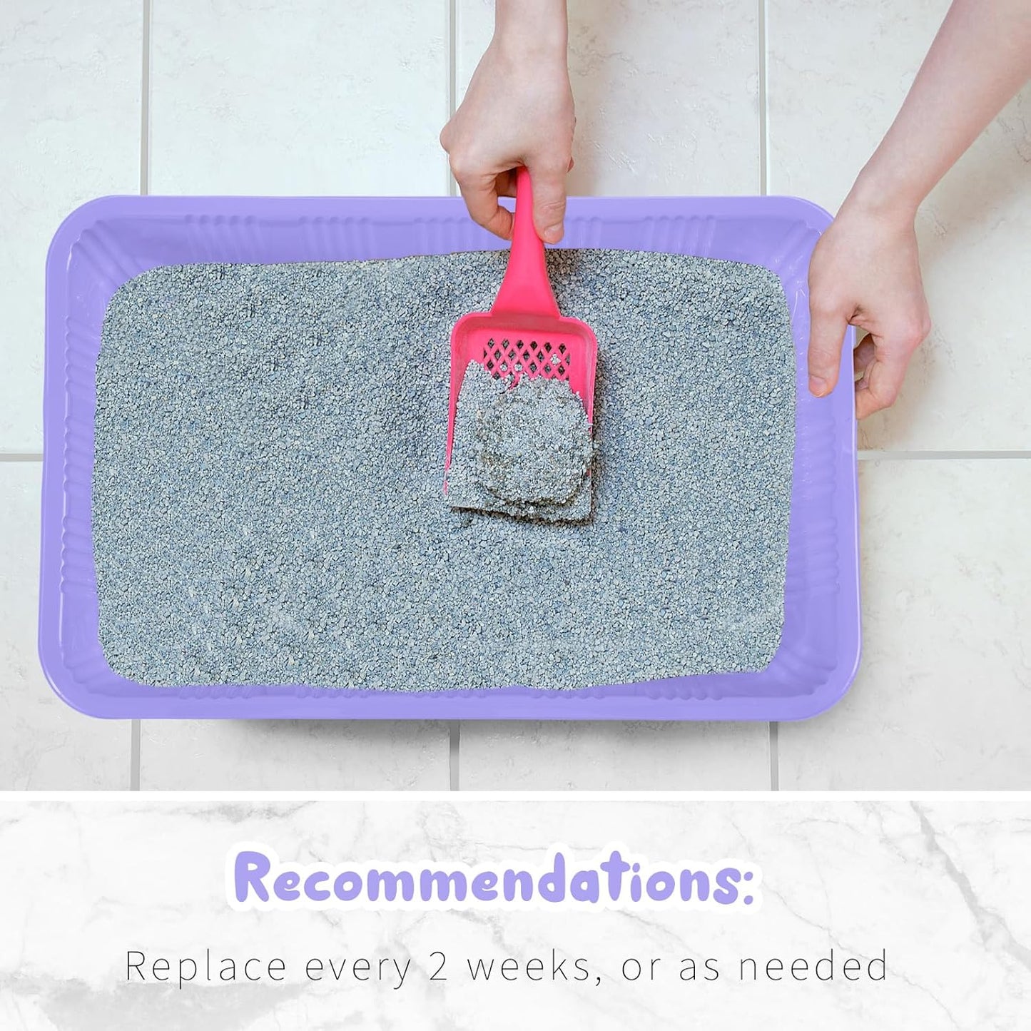 Tessco for you 60 Pack Cat Disposable Litter Boxes Plastic Kitty Litter Trays Recyclable Pans for Pet Travel, 16.7 x 10.5 x 3.4 Inch (Light Purple)