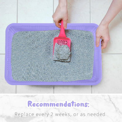 Tessco for you 60 Pack Cat Disposable Litter Boxes Plastic Kitty Litter Trays Recyclable Pans for Pet Travel, 16.7 x 10.5 x 3.4 Inch (Light Purple)