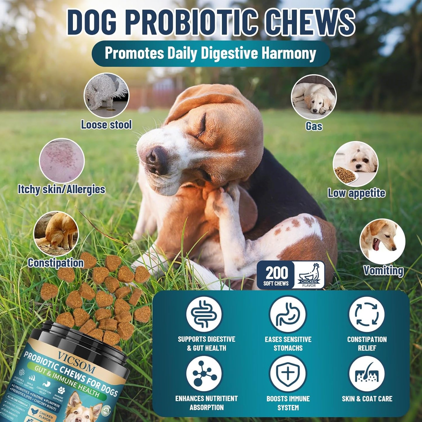 VICSOM Dog Allergy Relief & Probiotic Chews Bundle, 200 Count Each - Chicken Flavor Soft Chewswith Probiotics, Omega-3, Colostrum & Digestive Enzymes for Skin, Coat & Gut Support