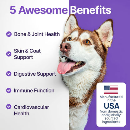 Dog Multivitamin Chewable with Glucosamine, Chondroitin & Probiotics – Dog Vitamins And Supplements – Skin, Hip & Joint, Immune - Puppy, Senior Dogs Supplements, 1 pack 170 Count, Made in USA