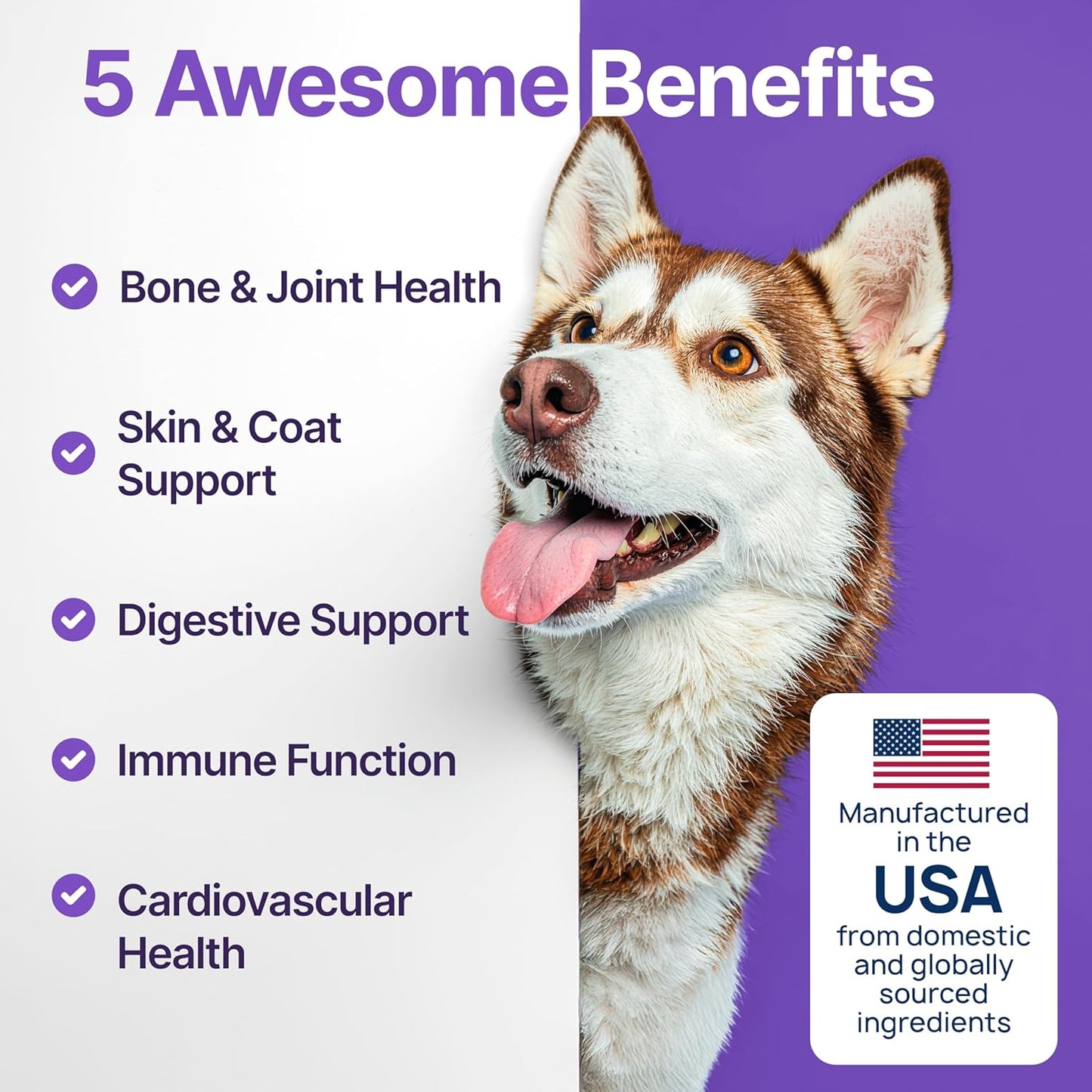 Dog Multivitamin Chewable with Glucosamine, Chondroitin & Probiotics – Dog Vitamins And Supplements – Skin, Hip & Joint, Immune - Puppy, Senior Dogs Supplements, 1 pack 170 Count, Made in USA