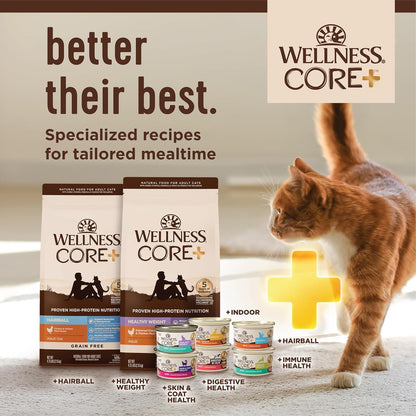 Wellness CORE+ Adult Dry Cat Food for Indoor & Outdoor Cats, Grain Free, Natural, Healthy Weight, Chicken and Chicken Meal (4.75 Pound Bag)