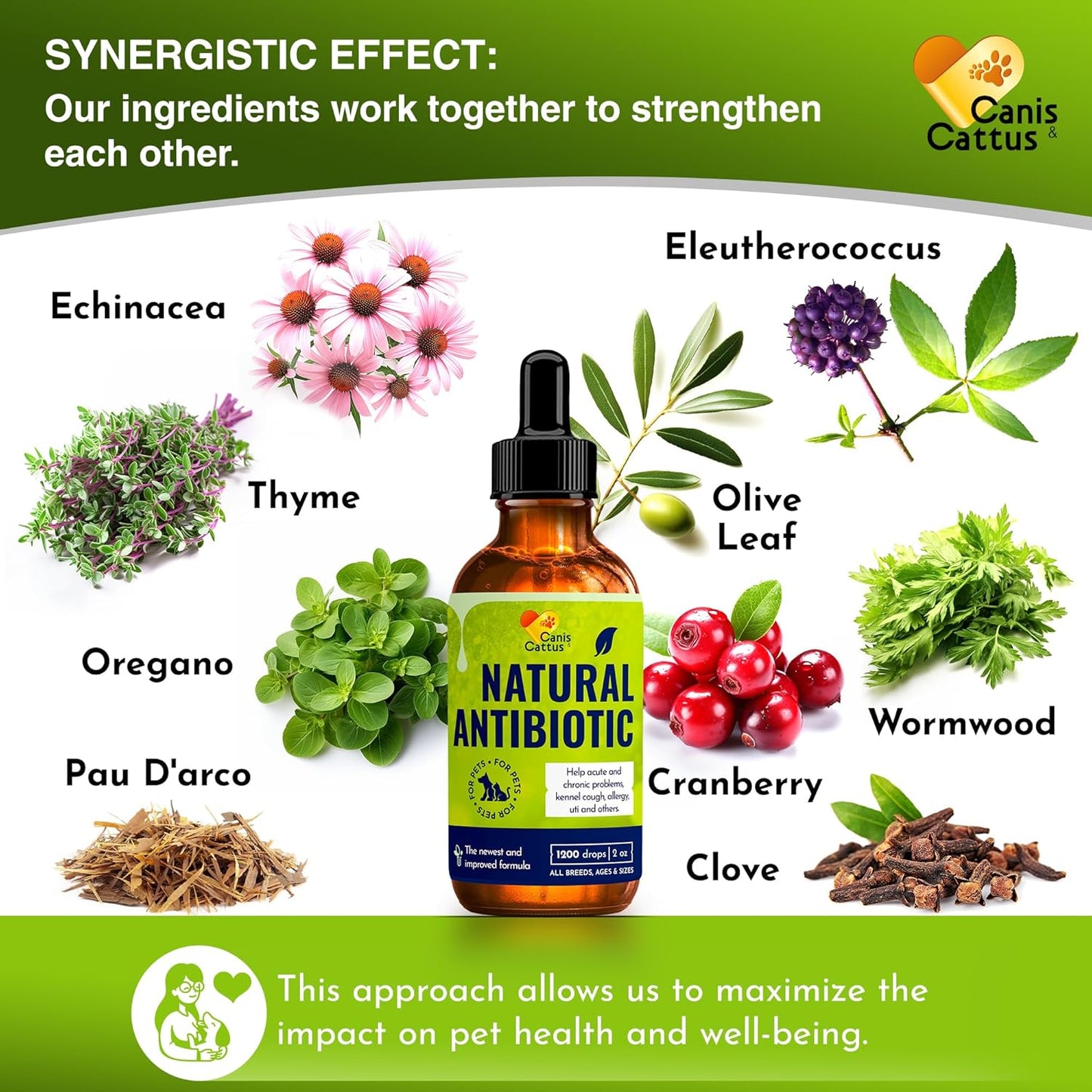 Liquid Cat & Dog Vitamins – Dog Antibiotics for All Pets – Bundle of 10 in 1 Cat & Dog Multivitamin + Antibiotic Supplement – Cough, Allergy, Sneezing, Joint Care – Vitamin C, D, B – Bottle Set x 2 oz