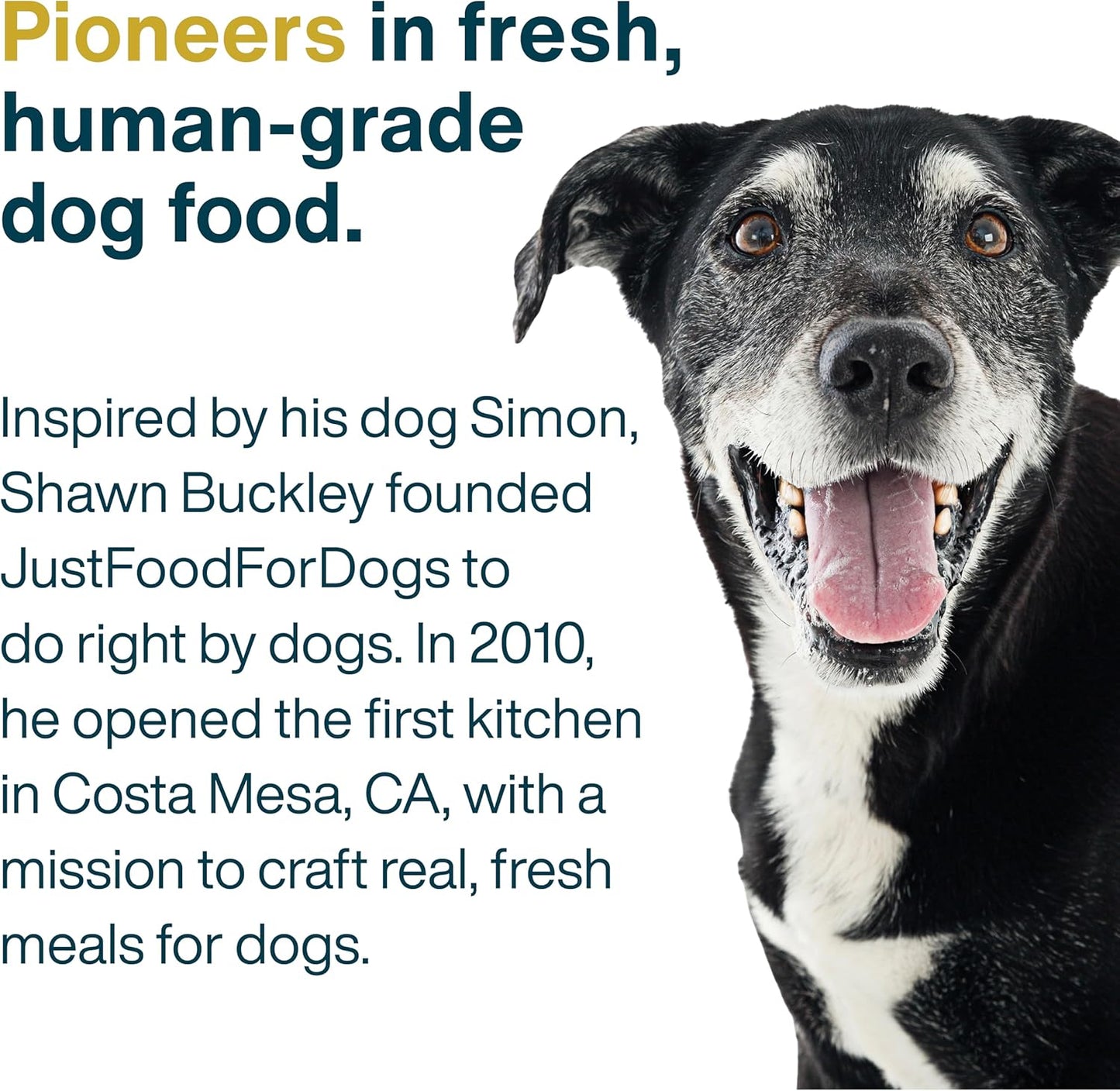 JustFoodForDogs Frozen Fresh Dog Food Sampler Human Grade Variety Box, Complete Meal or Topper, 18 oz (Pack of 7)