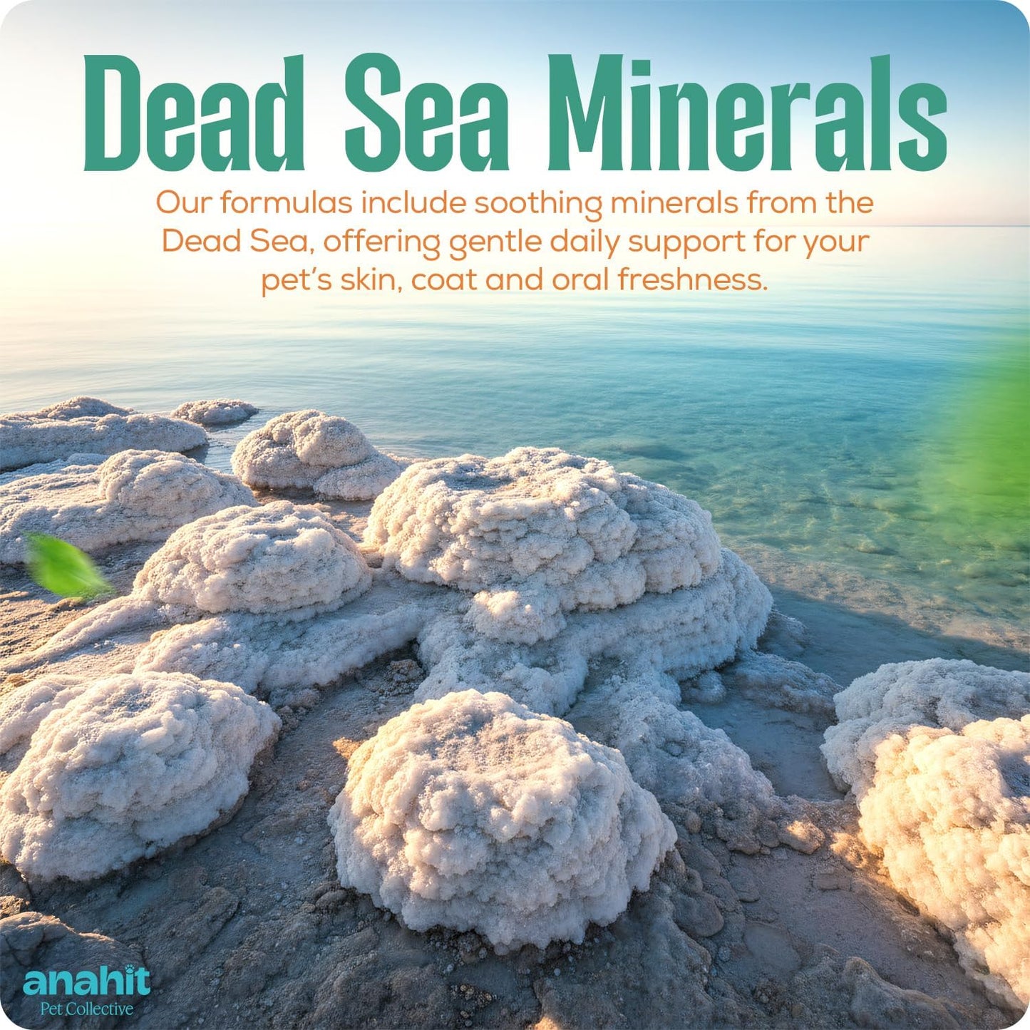 Fur Revive Pet Coat Treatment for Dogs and Cats with Sweet Almond Oil and Dead Sea Minerals – Softens Dry Fur, Enhances Shine, Smooth Texture, Lightweight Leave-in Grooming Care