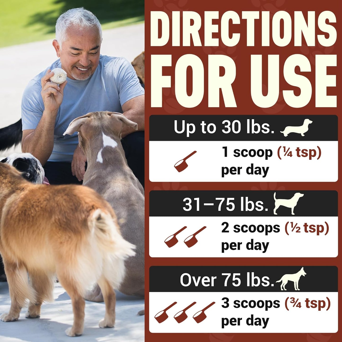 Better Dog Supplements Pack Protector by Cesar Millan – Natural Immune Support Powder for Dogs – Daily Immunity, Vitality & Internal Balance with Herbal Antioxidant Blend – 4oz (60-Day Supply)