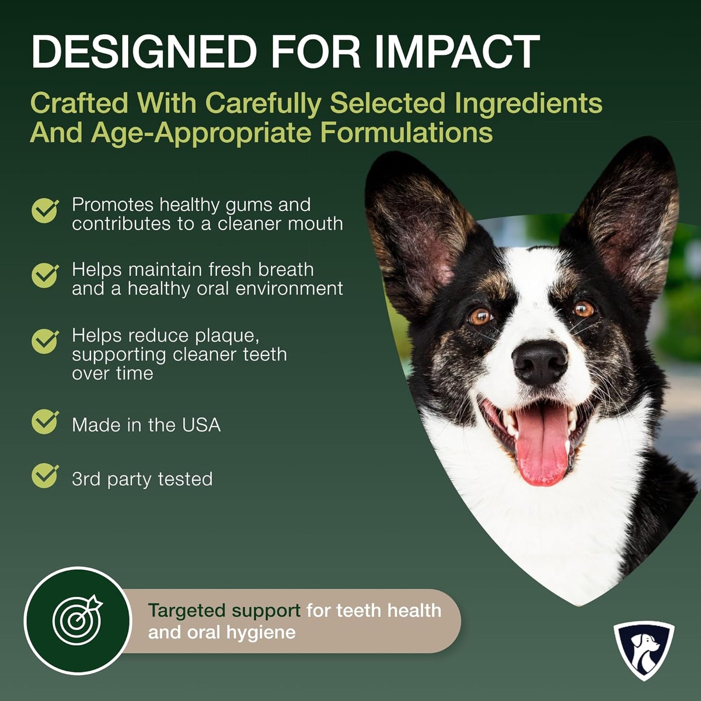 Select Senior Dog Digestive Probiotic Powder and Dental Support Bundle | Pet Dental Powder & Dog Breath Freshener, 7 Bn CFU | 60 Servings, 6.7 oz