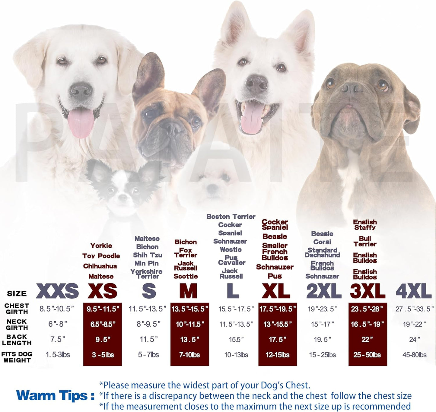 Paiaite Blue Chihuahua Dog Hoodie: Keep Your Pup Warm and Stylish with a 'The Dog Face' Printed Sweatshirt, Pet Clothes, and Sweater Coat All in One - Perfect for Winter and Cool Summer Nights! XS