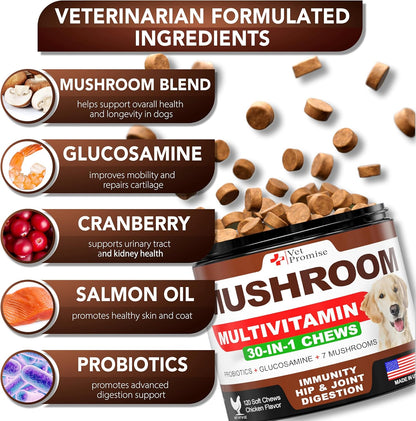 Turkey Tail Mushroom for Dogs - 170 Chews - Mushroom Supplement for Dogs - Lions Mane - Reishi - Immunity Support Multivitamin Vitamins - Joint Health - Energy - Gut - Skin - Made in USA