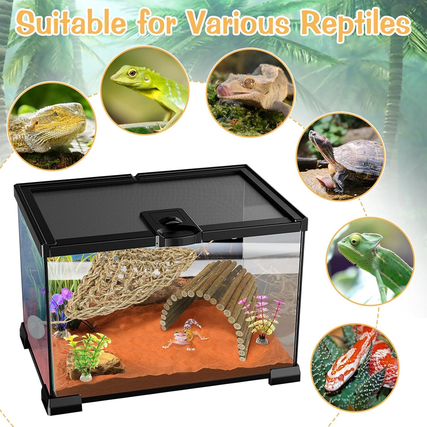 BNOSDM Bearded Dragan Tank Accessaries Reptile Bridge Hammock Flexible Wood Hideout 3PCS Reptile Habitat Accessory Set for Lizard Turtle Hermit Crabs Ball Python Gecko