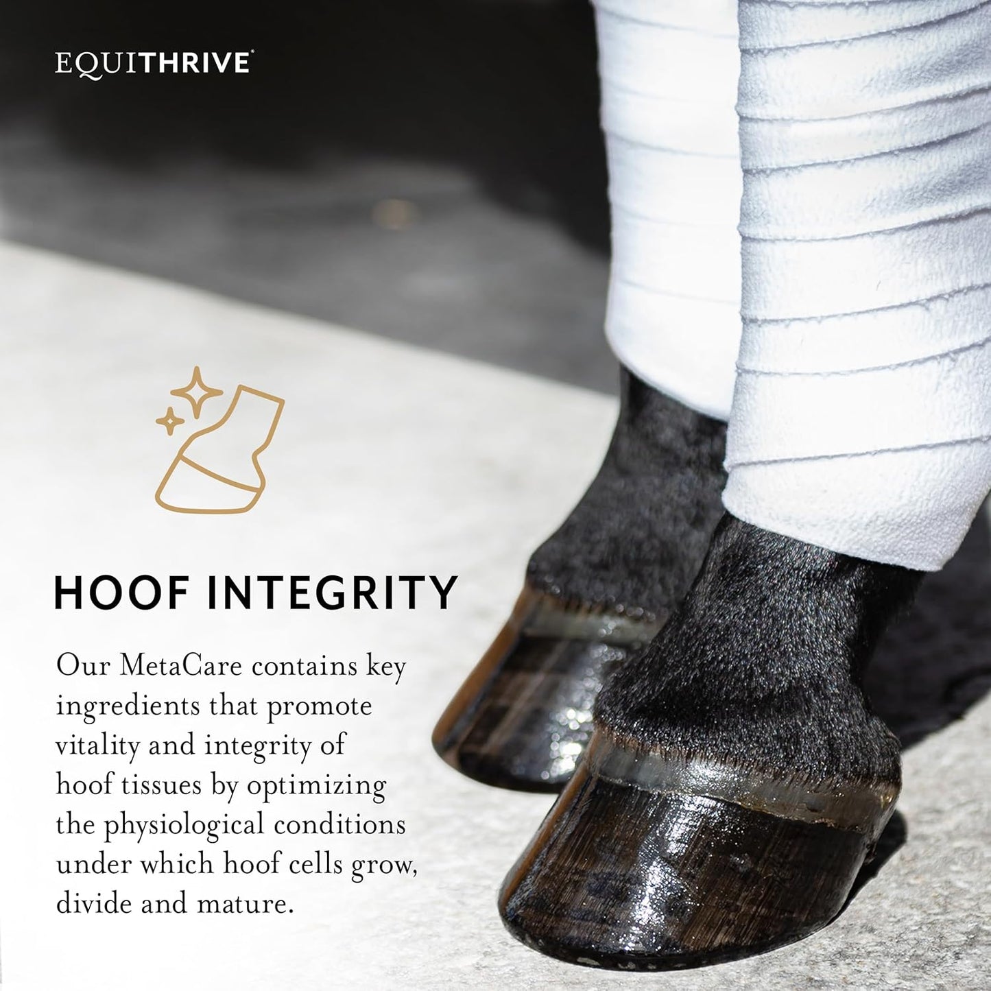 Equithrive MetaCare Horse Supplement Pellets with Resveratrol, Flavonoids and Amino Acids, Equine Metabolic Support, 3.3 lbs, 30 Day Supply