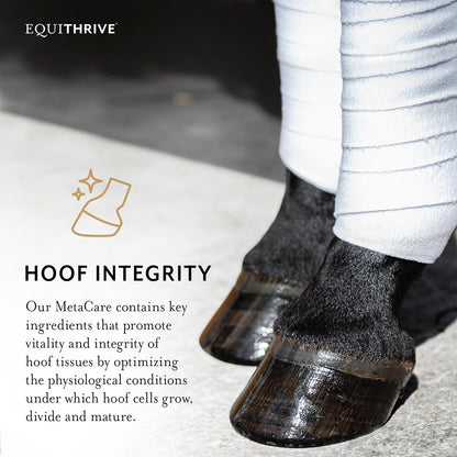 Equithrive MetaCare Horse Supplement Pellets with Resveratrol, Flavonoids and Amino Acids, Equine Metabolic Support, 3.3 lbs, 30 Day Supply