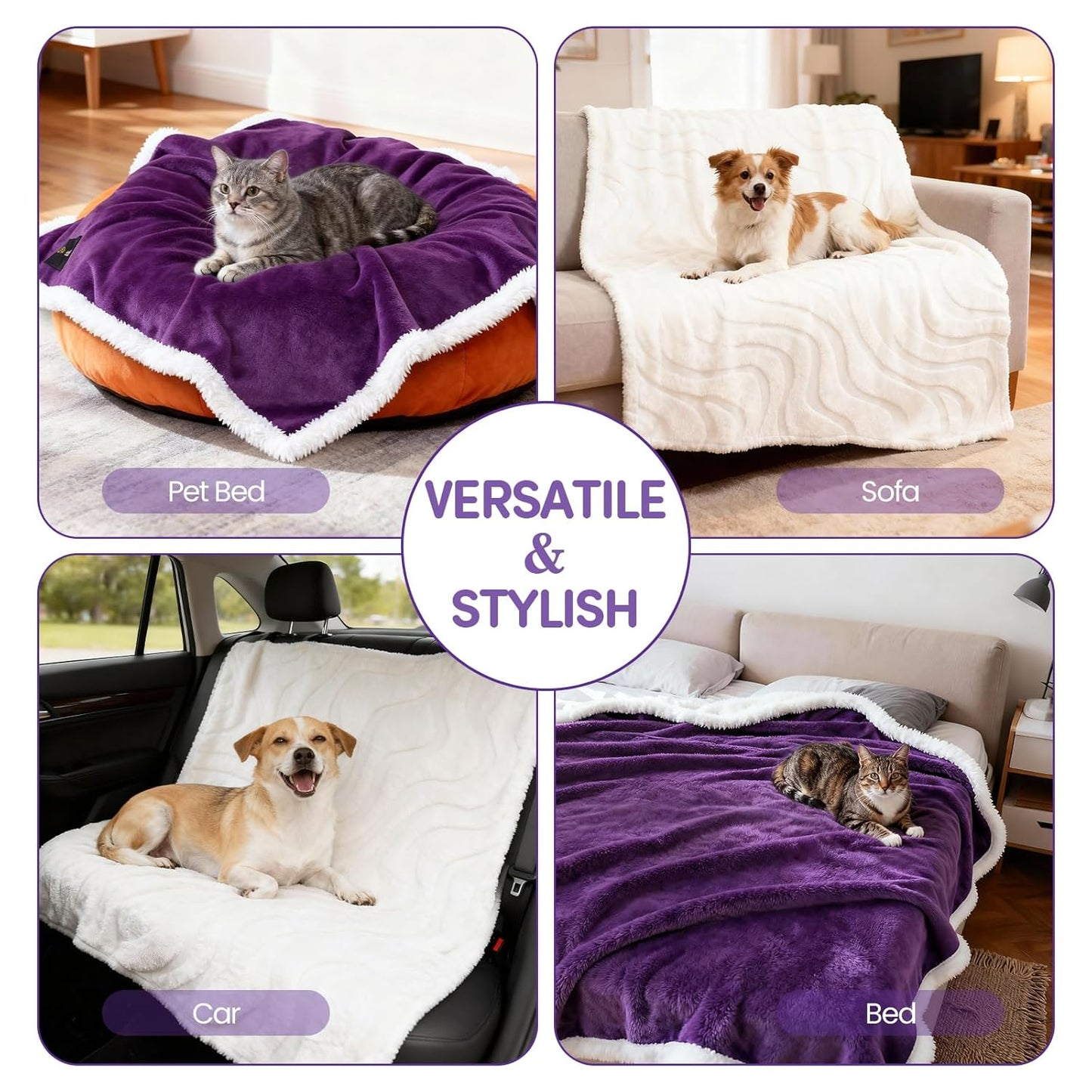 3 in 1 Carpet Rake for Pet Hair Removal & Waterproof Dog Blanket