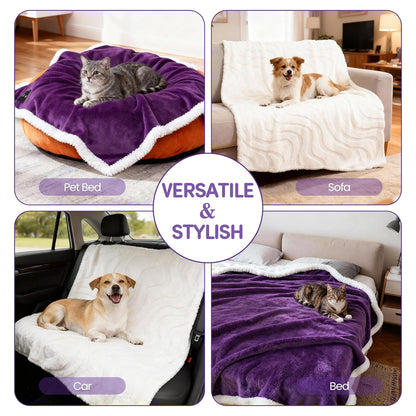 3 in 1 Carpet Rake for Pet Hair Removal & Waterproof Dog Blanket