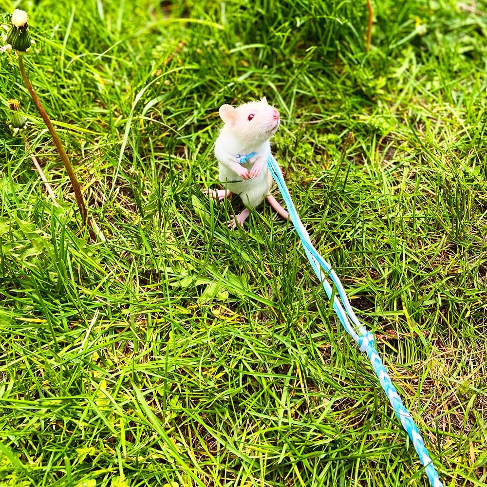 3 Pack Adjustable Hamster Leash Harness for Chinchilla Rabbit Hamster Guinea Pig Squirrel Small Animal