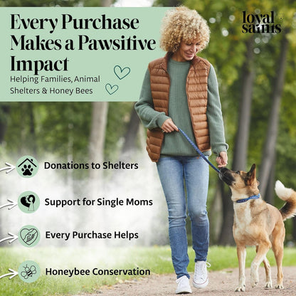 Freeze Dried Raw Dog Food - Premium Beef Flavor with High Protein and Grain Free Dog Food for Small or Large Breeds and Picky Eaters - Versatile as Meal Topper, Snack, and Treats, 5 Oz