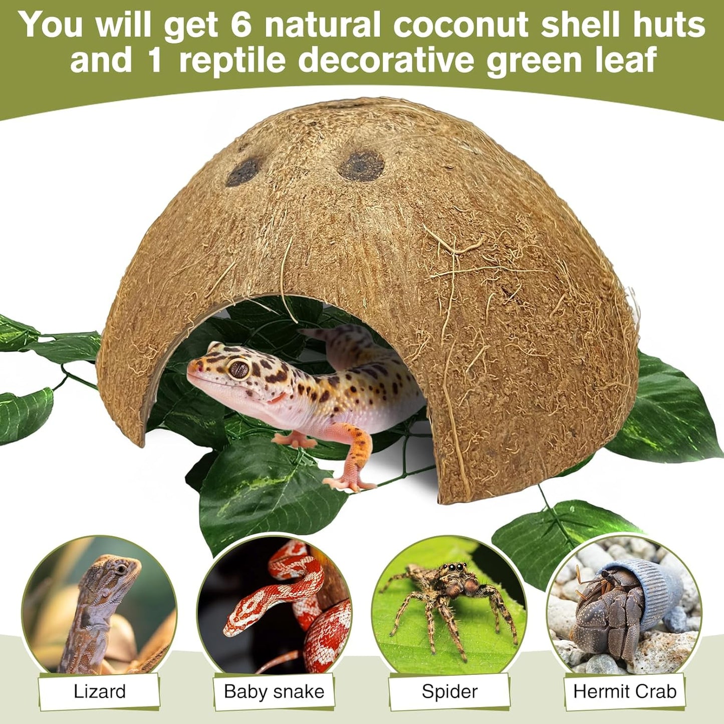 Hamiledyi Reptile Plants Bendable Jungle Climbing Vine Terrarium Branch and 7 Pcs Reptile Hideouts Natural Coconut Shells Hut for Hermit Crab Small Snake Tarantulas Lizard Chameleon Small Animal Hide
