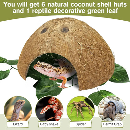 Hamiledyi Reptile Plants Bendable Jungle Climbing Vine Terrarium Branch and 7 Pcs Reptile Hideouts Natural Coconut Shells Hut for Hermit Crab Small Snake Tarantulas Lizard Chameleon Small Animal Hide