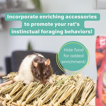 Oxbow Essentials Rat Food, Pet Food for Adult Rats, All-Natural Vitamin & Mineral Rich Formula, Veterinarian Recommended, Oxbow, Rodent Pellets, Made in USA, No Artificials, 3 lb. Bag