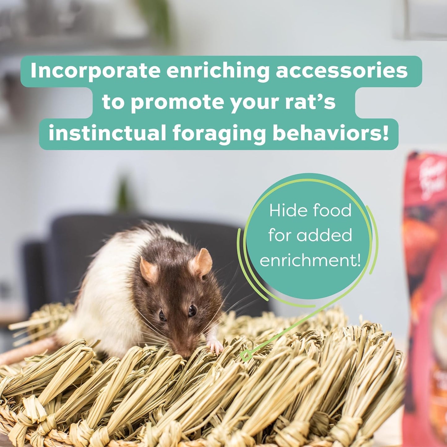 Oxbow Essentials Rat Food, Pet Food for Adult Rats, All-Natural Vitamin & Mineral Rich Formula, Veterinarian Recommended, Oxbow, Rodent Pellets, Made in USA, No Artificials, 3 lb. Bag