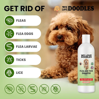We Love Doodles Flea Shampoo for Dogs - Stops Fleas & Ticks for Dogs, Natural, Safe & Effective Lice Treatment, Soothing Shampoo for Sensitive Skin, Made in USA (8 fl oz)