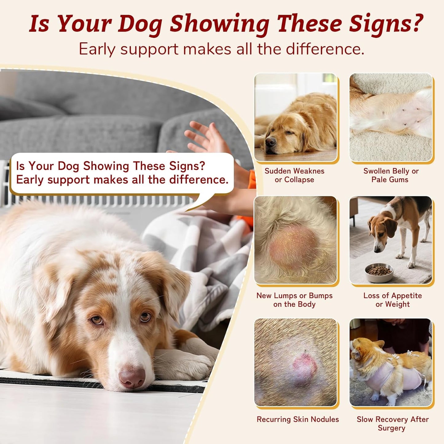 Natural Dog Lumps & Bumps Treatment- Lipoma Treatment for Dogs - Digestive, Cellular, Immune Health Support - Organic 8 Mushroom Supplement Blend, Probiotic & Antioxidants with Turkey Tail Mushroom