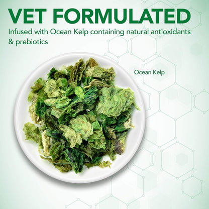 Vet's Best Probiotic Soft Chews Dog Supplement, Supports Dog Digestive Health, Promotes a Healthy Gut, 90 Day Supply