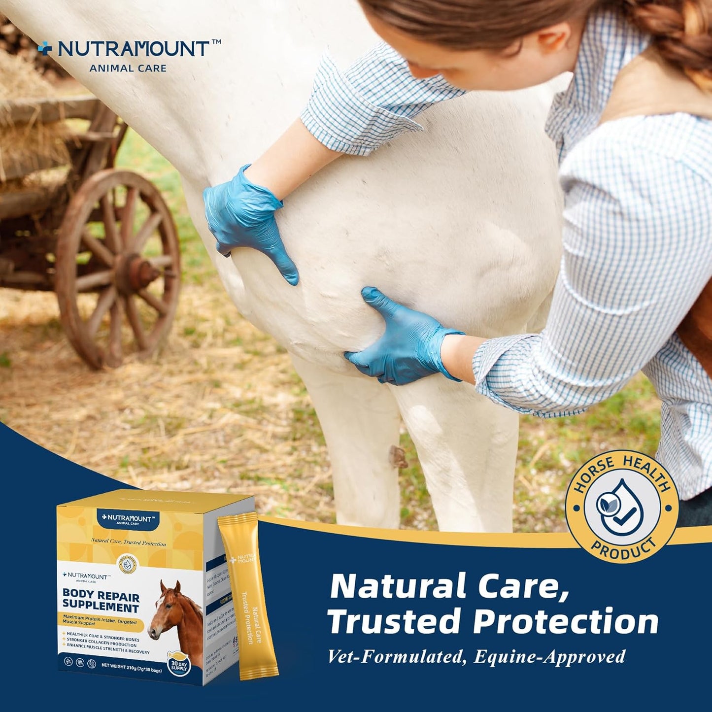 Equine Muscle Builder Supplement – Amino Acids for Muscle Gain, Topline Support & Faster Recovery, Performance Horse Body Repair Powder, 30-Day Supply