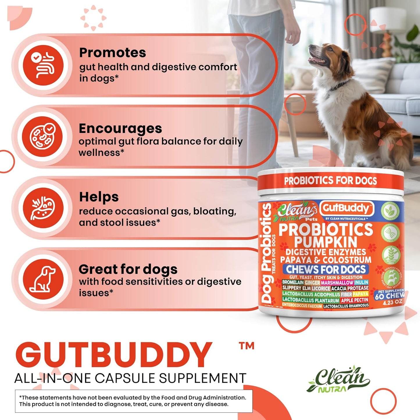 Gut Health Probiotics for Dogs + Pumpkin Colostrum Digestive Enzymes Ginger Slippery Elm Licorice Inulin Fiber Soft Chews Dog Probiotic Beef Flavor Digestion Supplement Treat Bites Large & Small Pets