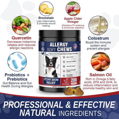 Dog Allergy and Itching Skin Seasonal Allergies Relief Bites Itchy Skin and Itchy Ears Anti Itch Licking Paws Treatment for Dogs