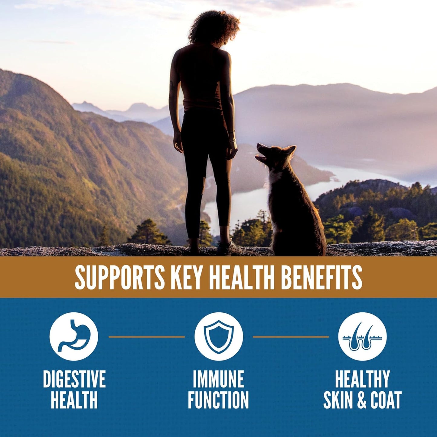 ORIJEN Amazing Grains Dry Dog Food Original Recipe 30lb Bag