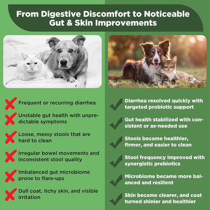 S.boulardii + FOS Pet Probiotic Powder for Dogs & Cats, 6.7 Billion CFU, Gut & Immune Support, Loose Stool & Digestive Upset Relief, Improves Stool Consistency, Skin Health, Veterinarian Recommended