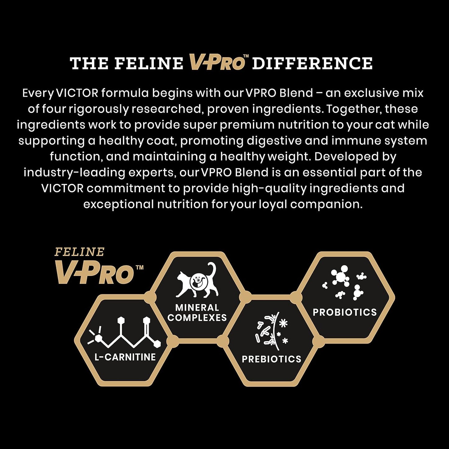 VICTOR Super Premium Cat Food – Hi-Pro Plus Active Adult Cat and Kitten – Dry Feline Food for Active Cats – All Breeds and All Life Stages – Supports Energy, Healthy Coat, Immune Function, 5lb