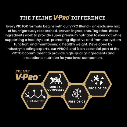 VICTOR Super Premium Cat Food – Hi-Pro Plus Active Adult Cat and Kitten – Dry Feline Food for Active Cats – All Breeds and All Life Stages – Supports Energy, Healthy Coat, Immune Function, 5lb