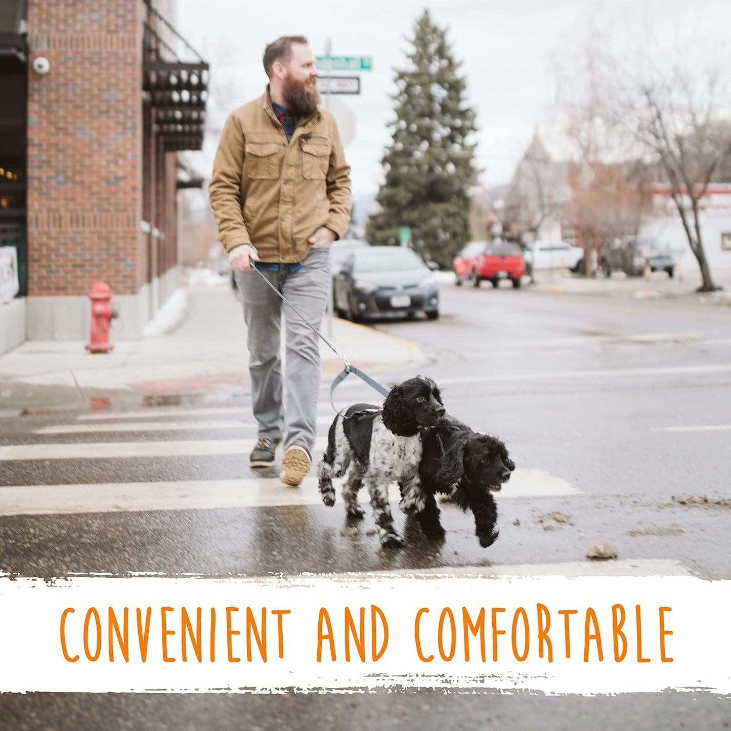 Mighty Paw Double Dog Leash - Double Leash for Two Dogs No Tangle Design. Split Lead for 2 Pets. Adjustable to Fit All Sized Breeds. Reflective Dual Pet Lead for People with 2 Pups