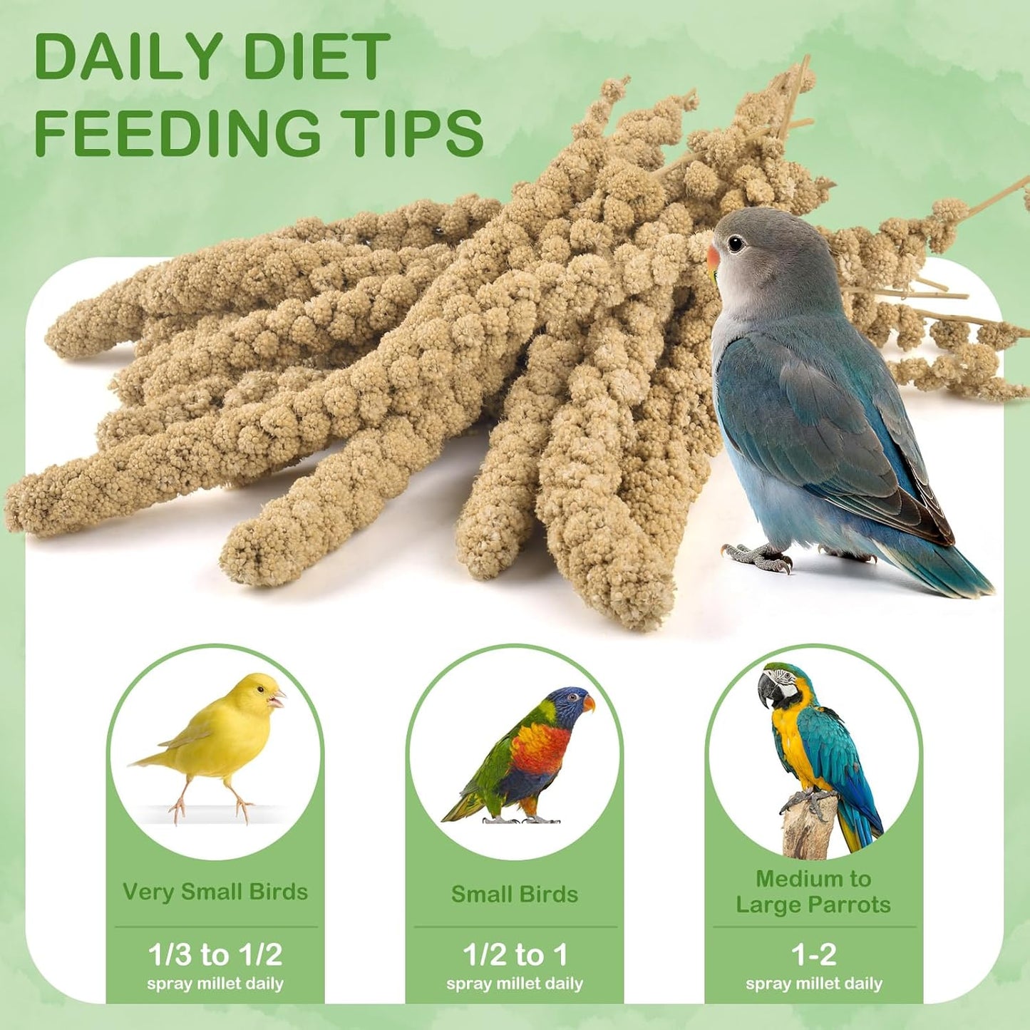 ERKOON 5LB Spray Millet Treat, All Natural Sun-Dried Healthy Treat Parrot Food Bird Snack for Parakeets, Lovebirds, Cockatiels, Finches, Budgies, Canaries Hamster, Bird Food Bulk