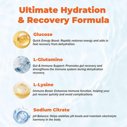 Electrolytes for Dogs – Vet-Formulated Hydration Supplement– Supports Post-Surgery & Illness Recovery– Helps Replenish Fluids & Electrolytes Lost from Diarrhea, Vomiting & Poor Appetite