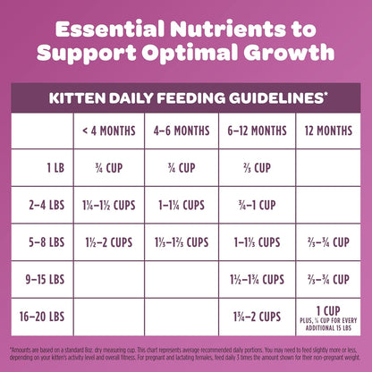 9Lives Kitten Essentials Chicken & Ocean Fish Dry Cat Food, 2.5lb Bag, Pack of 4