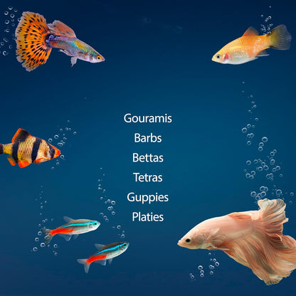 Aqueon Aquarium Starter Kit with Smart Clean Filtration and LED Lighting, Freshwater and Saltwater Fish, Perfect for Gouramis, Barbs, Bettas, 20-Gallon