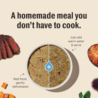 The Honest Kitchen Human Grade Wholemade™ Whole Grain Chicken, Oat & Salmon Dehydrated Senior Dog Food, 2lb Bag (Makes 8lbs)