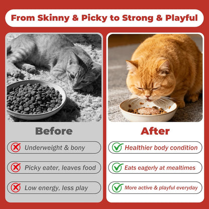 High Calorie Nutrition Paste for Cats – 12g x 30 Bars- Provides Weight gain and Appetite Support for picky or underweight Cats - Contains Taurine, DHA Colostrum - Promotes Vitality and Healthy Growth