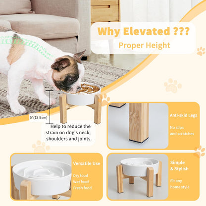 Elevated Slow Feeder Dog Bowl - Ceramic Maze Food Dish with Bamboo Stand - Raised Feeding Bowl for Fast Eaters - Ideal for Small and Medium Dogs - White - 6.7 inch