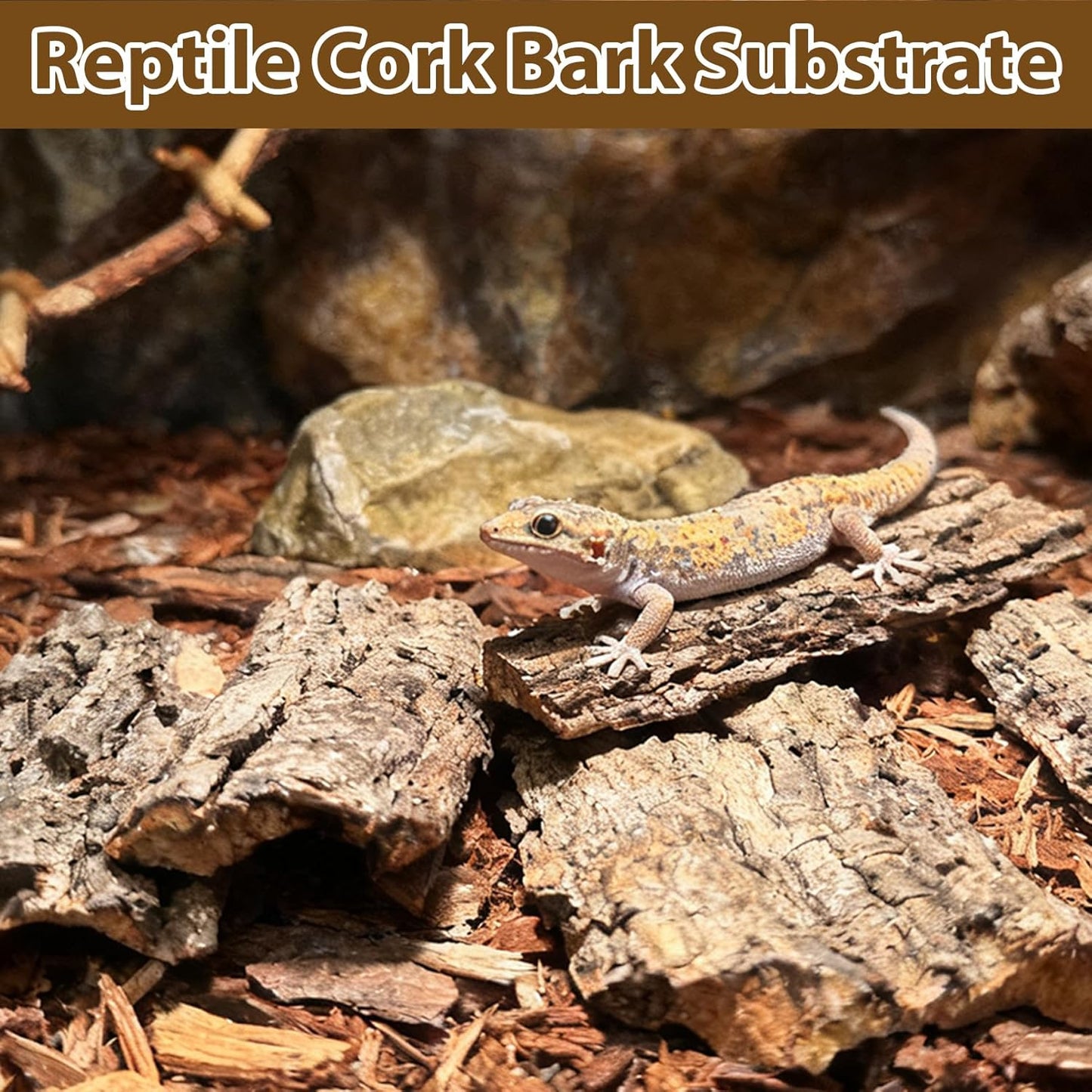 Reptiles Cork Bark Bits Substrate,1 LB Terrarium Bark Bedding Bulk for Geckos Snake Isopods Bearded Dragon Spiders Lizard Tarantula Hermit Crabs