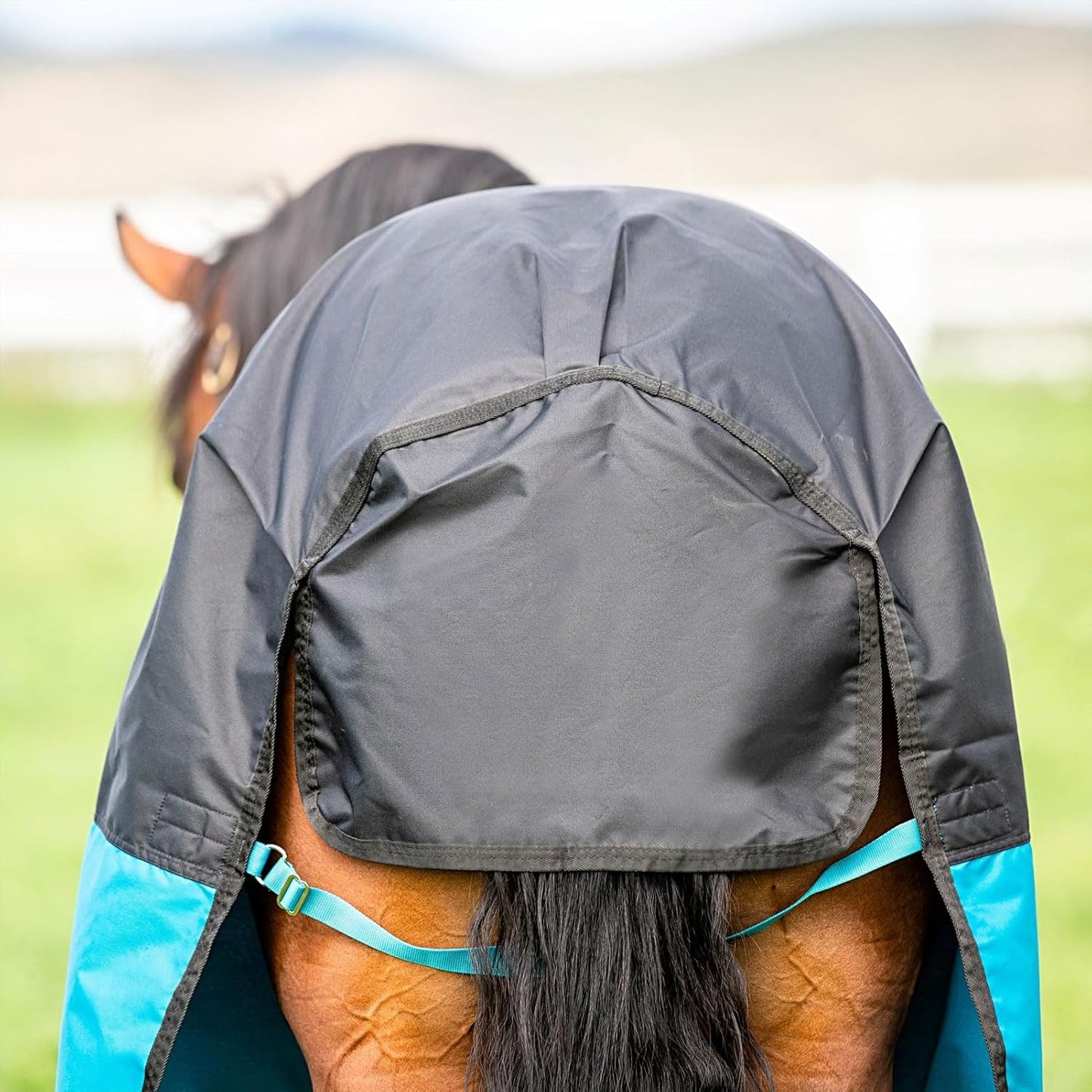 AMIGO Mio Turnout Sheet Lite Black/Turquoise/Black 81