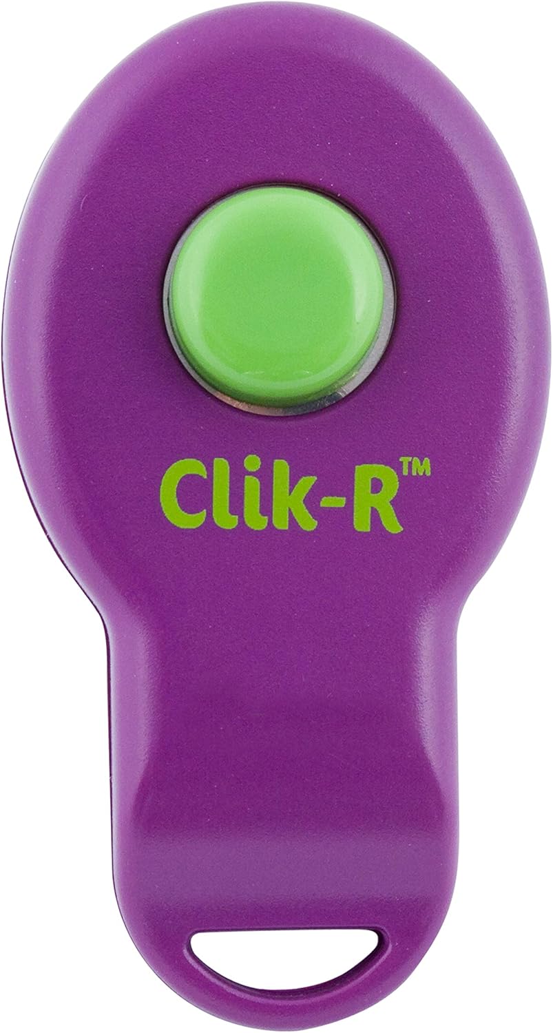 PetSafe Clik-R Training Tool - Positive Behavior Reinforcement - Ergonomic Design - Compact Finger Band - Daily Training Accessory - Clicker for Dogs & Cats - Purple
