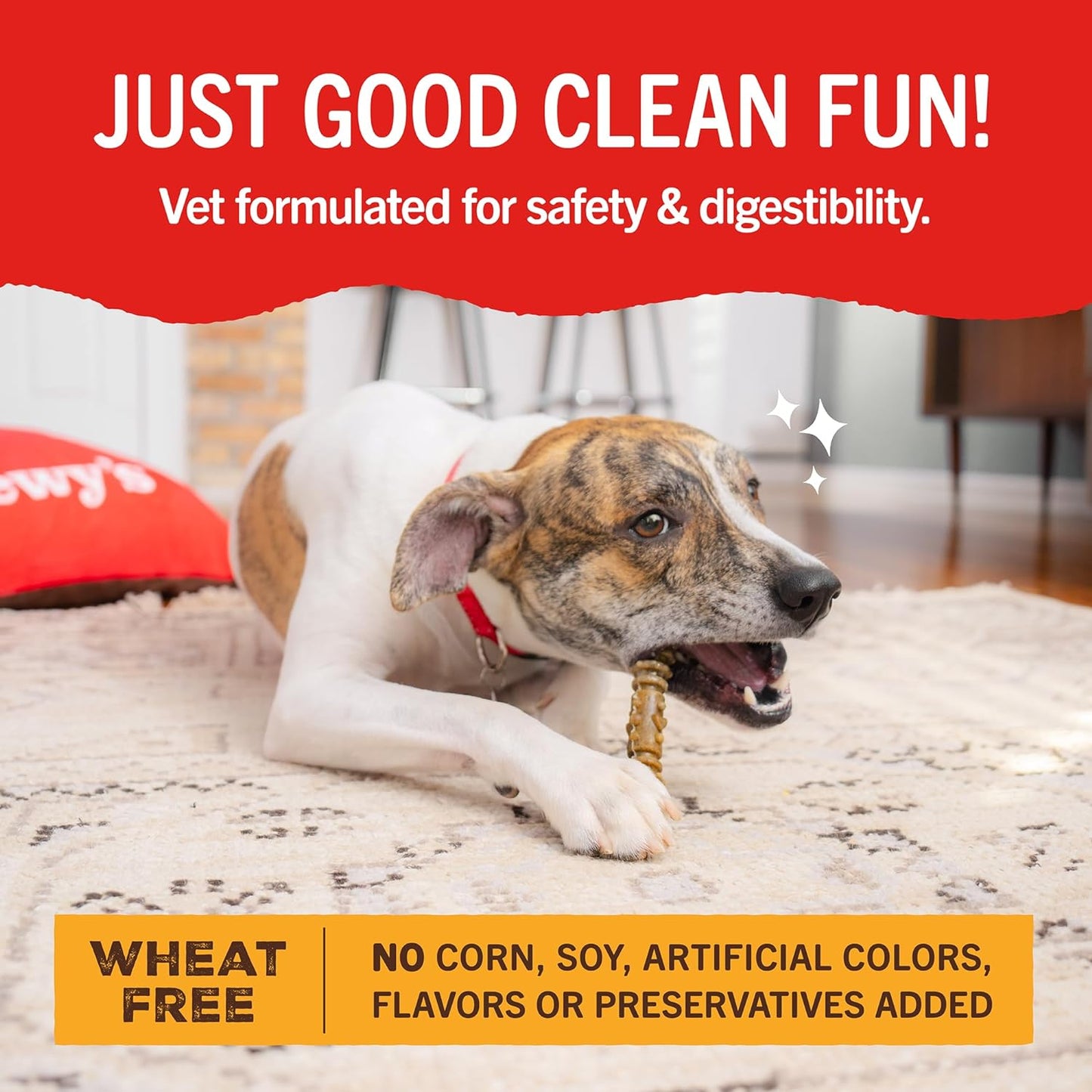 Stella & Chewy's Dental Delights with Freeze-Dried Chicken - Medium Dental Treats for Dogs, 5.5 Ounce Bag