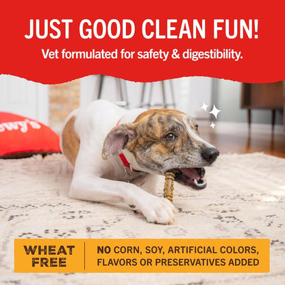 Stella & Chewy's Dental Delights with Freeze-Dried Chicken - Medium Dental Treats for Dogs, 5.5 Ounce Bag